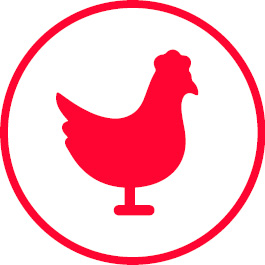 Huhn Icon
